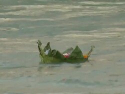 MS TS Giant leave filled with flowers floating on Ganges river / Haridwar, Uttarakhand, India Stock Footage