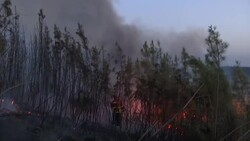 Firefighters battle blaze in town in central Portugal Instructional Video