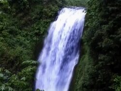 Waterfall at Multnomah Falls, in Portland, Oregon Stock Footage