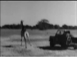 GAME RESCUE News Clip