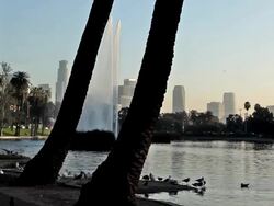 Los Angeles skyline from Echo Park Stock Footage