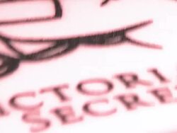 Victoria's Secret Launches Their Official Facebook Fan Page Stock Footage