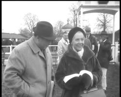 BLOODSTOCK SALES News Clip