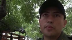 As Venezuela exodus swells, more migrants face removal Instructional Video