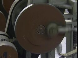 Crocodiles are farmed to make leather accessories News Clip