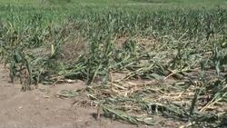 Red Cross team visits area hit by recent floods News Clip