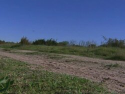 Medium static - A cheetah runs along a dirt road / South Africa Stock Footage