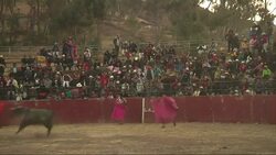 Economic crisis makes European bullfighters migrate to Peru News Clip
