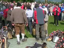 MS Shot of bells in Viehscheid at Schollang near Oberstdorf, ceremonial driving down of cattle from mountain pastures into valley in autumn at Allgau Alps / Oberstdorf, Bavaria, Germany Stock Footage