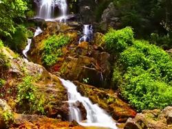 Forest waterfall Stock Footage