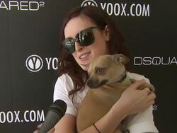 INTERVIEW: Rumer Willis on being a part of the afternoon... (Footage by WireImage Video/GettyImages) Stock Footage