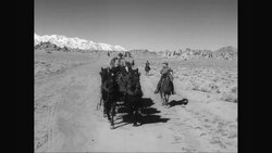 WS POV Cowboys riding in carriages in desert / United States News Clip