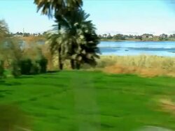 WS POV View of tree near nile valley / Luxor, Egypt Stock Footage