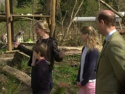 The Countess of Wessex Points Out Baby Lemurs to Her Children at Bristol Zoo News Clip