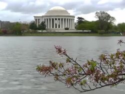 Washington DC - Tidal Basin and Jefferson Memorial Stock Footage