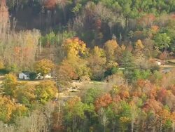 WS AERIAL View of farm house with wooded area / South Carolina, United States Stock Footage