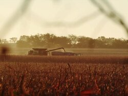 Wide shot in a cornfield featuring a combine transferring harvested corn into a wagon. Stock Footage
