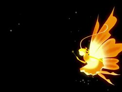 Fairy + Alpha Stock Footage