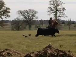 Caucasian Cowboy Rides Brown Horse on Texas Ranch Stock Footage