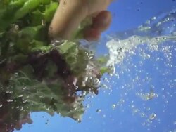 Lettuce Splashing Into Water (Super Slow Motion) Stock Footage