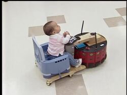 6-month-old learns to drive News Clip