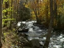 Creek With Turning Trees With Fall Colors Stock Footage