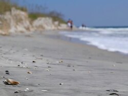 Beachwalk 2 of 3 consecutive video clips Stock Footage