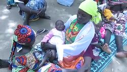 CLEAN : Boko Haram members surrender in the Far North region of Cameroon News Clip