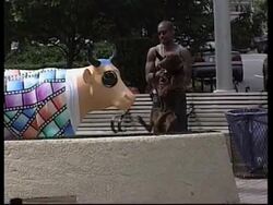USA: PAINTED COWS DEPCIT NEW YORK SCENES Instructional Video