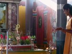 MS TU PAN Hindu priest preparing for offerings / Batticaloa, Sri Lanka Stock Footage