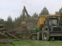 MS Mechanical arm liftting logs into chipping machine / Cranbrook, Kent, United Kingdom Stock Footage