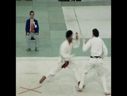 SYND 6 12 77 HIGHLIGHTS OF WORLD KARATE CHAMPIONSHIP IN TOKYO News Clip