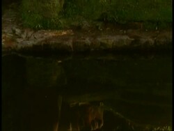 Cu tilt up from water reflection to head of Hindu statue, Bandhavgarh National Park, India Stock Footage