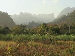 WS View of tree covered mountain in forest / Vang Vieng, Vientiane, Laos Stock Footage