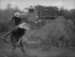 Bay of Pigs invasion and aftermath Propaganda film produced in Cuba Stock Footage