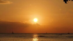 Sunset on Waikiki Beach News Clip