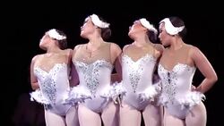 Ukrainian National Circus presents new show Stock Footage