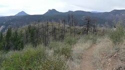 Woman trail runs Reynolds Park Colorado Rocky Mountains Jefferson County Stock Footage