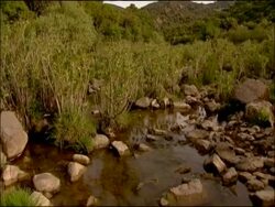 Shallow stream, tilt down to water, Andalucia, Spain Stock Footage