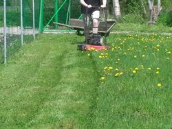 Lawn Mower Stock Footage