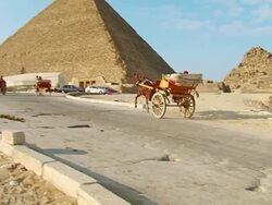 MS TS Shot of Horse cart at pyramids / Giza, Egypt Stock Footage