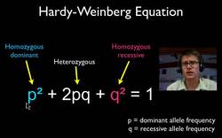 AP Biology Lab 8: Population Genetics and Evolution Instructional Video