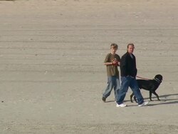 MS AERIAL Shot of people walking with dog on beach side / South Carolina, United States Stock Footage