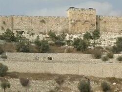 Jerusalem's Golden Gate and Valley of Olive Trees Stock Footage