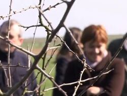 FRANCE-VOTE-GREEN News Clip