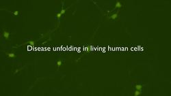 Susan Solomon: The promise of research with stem cells Instructional Video