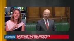 Brexit Paper Seeks 'Freest' U.K.-EU Financial Trade News Clip