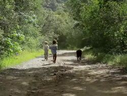 MS Cute young boy and girl with their dog running on road / Los Angeles, California, United state Stock Footage