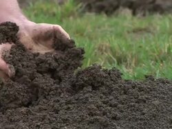 HD: Displaying The Soil Stock Footage