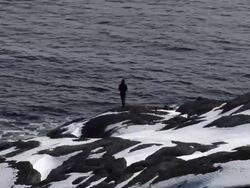 Sports fisher. Stock Footage